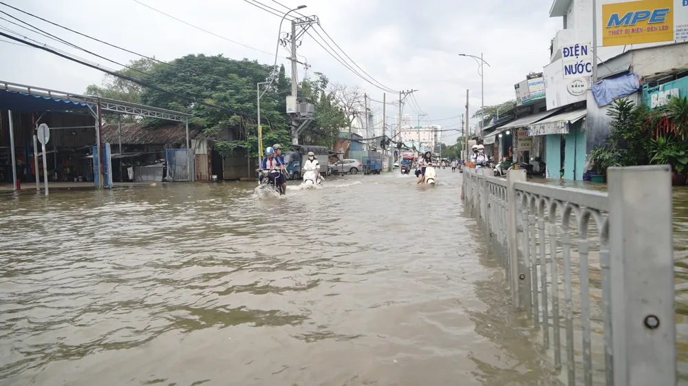 Đường Đào Sư Tích, xã Nhà Bè - 2.JPG