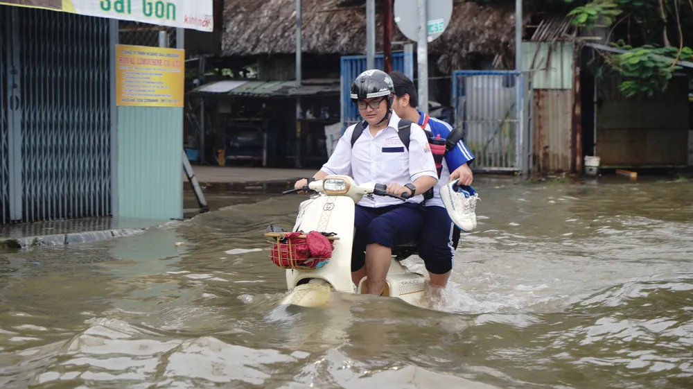 Đường Đào Sư Tích, xã Nhà Bè - 4.JPG