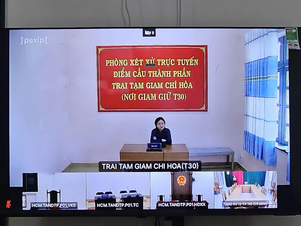 Phiên xét xử trực tuyến bị cáo Phạm Thủy Nhi. Ảnh chụp màn hình.jpg