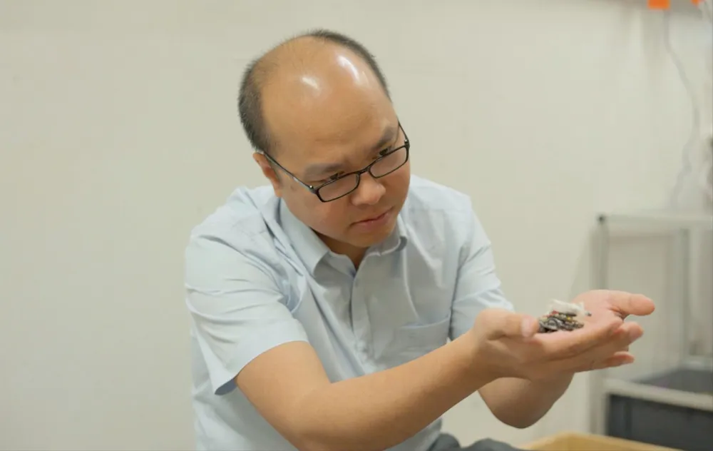 tatthang.jpg