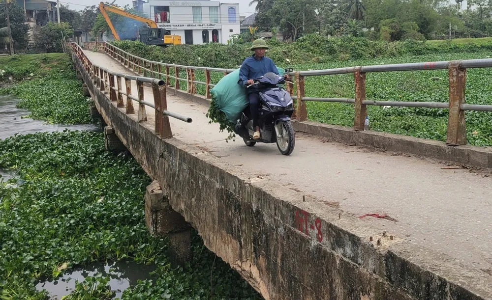 Nơm nớp qua cầu…