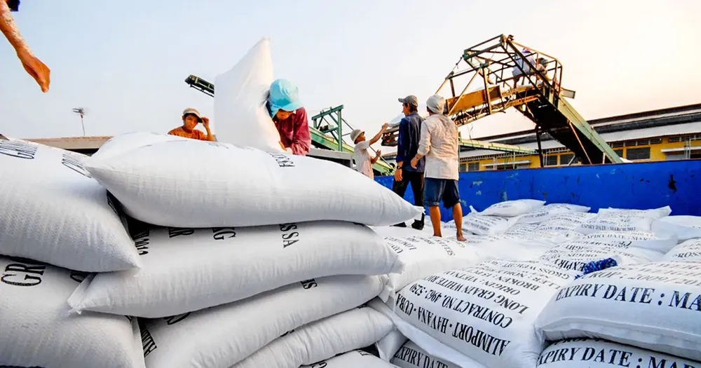 8 tháng năm 2025: Việt Nam xuất khẩu gạo đạt 3 tỷ USD