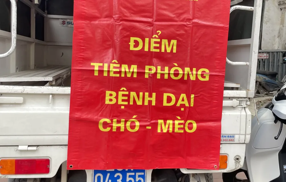 54 người tử vong do bệnh dại, cảnh báo nguy cơ từ chó mèo