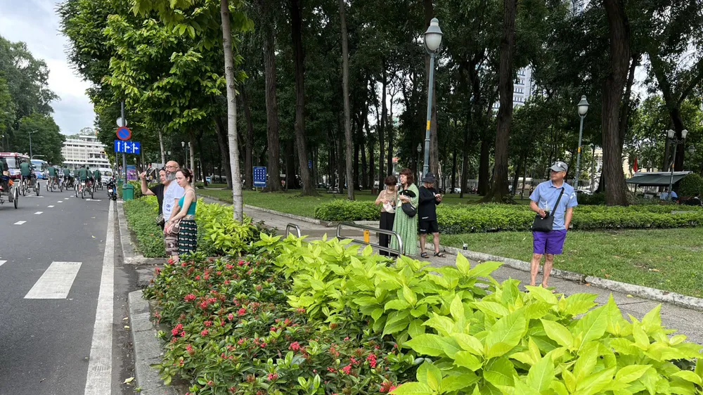 Mảng xanh bên đường Lê Duẩn, quận 1, TPHCM Mảng xanh bên đường Lê Duẩn, quận 1, TPHCM