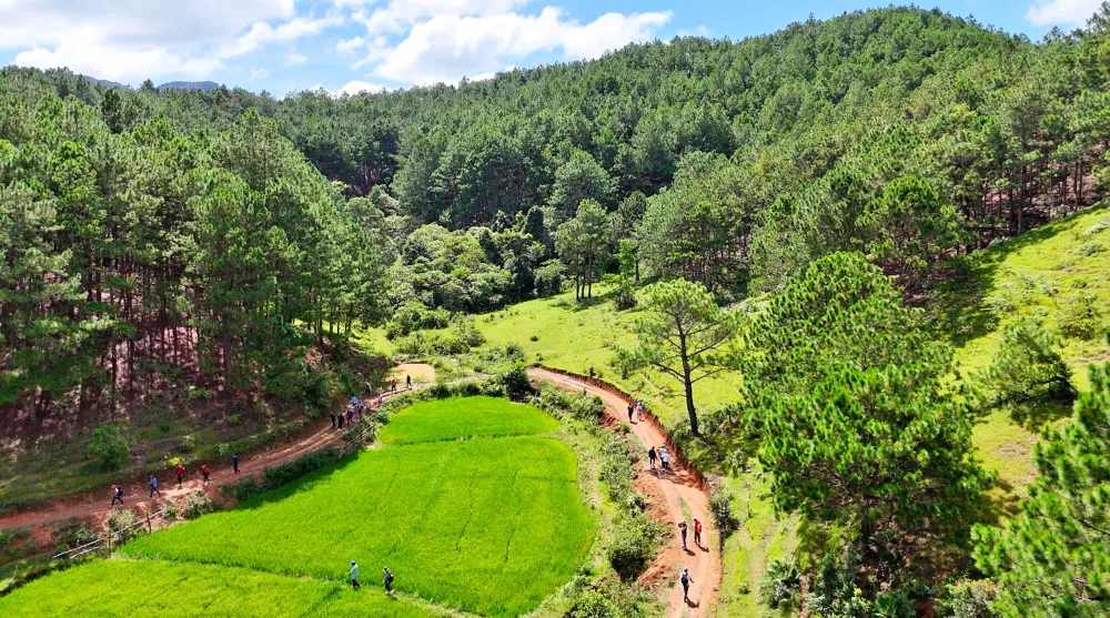 Cung đường “Trekking” quanh co, uốn lượn qua khoảnh ruộng, đan xen cánh rừng tuyệt đẹp