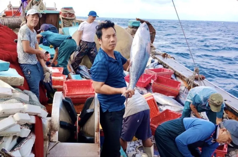 Một tàu cá của ngư dân ở phường Quảng Phúc (thị xã Ba Đồn, Quảng Bình) vươn khơi xa bám biển, đánh bắt đạt hiệu quả. Ảnh: MINH PHONG