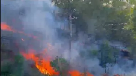 Khu vực rừng xảy ra cháy