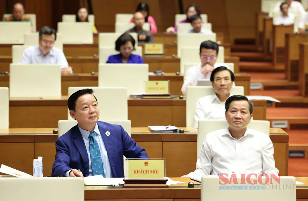 25fdf6a3-4ac6-4689-b38a-4026ff52197f.jfif