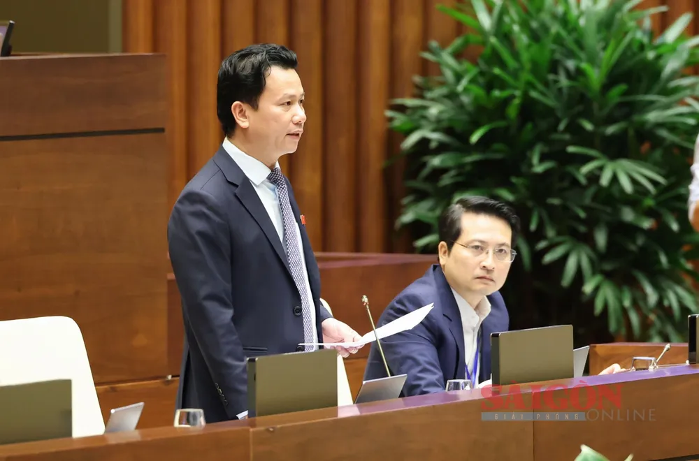 6ab3a253-5f20-4d1e-8b4e-434dfd5e5b1d.jfif