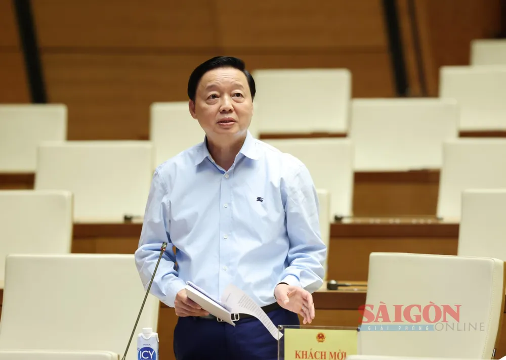 TRẦN HÔNG HÀ CHIỀU .jpeg