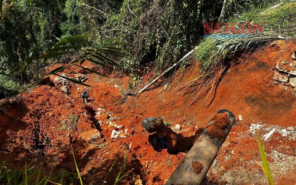 7cb9791f-b8c5-4220-a050-a873de910158 (6).jpg