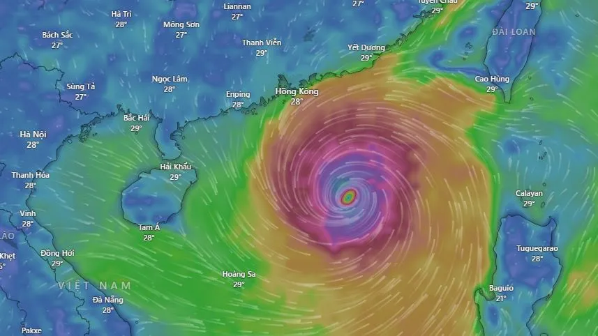 Screenshot 2024-09-05 062242.png