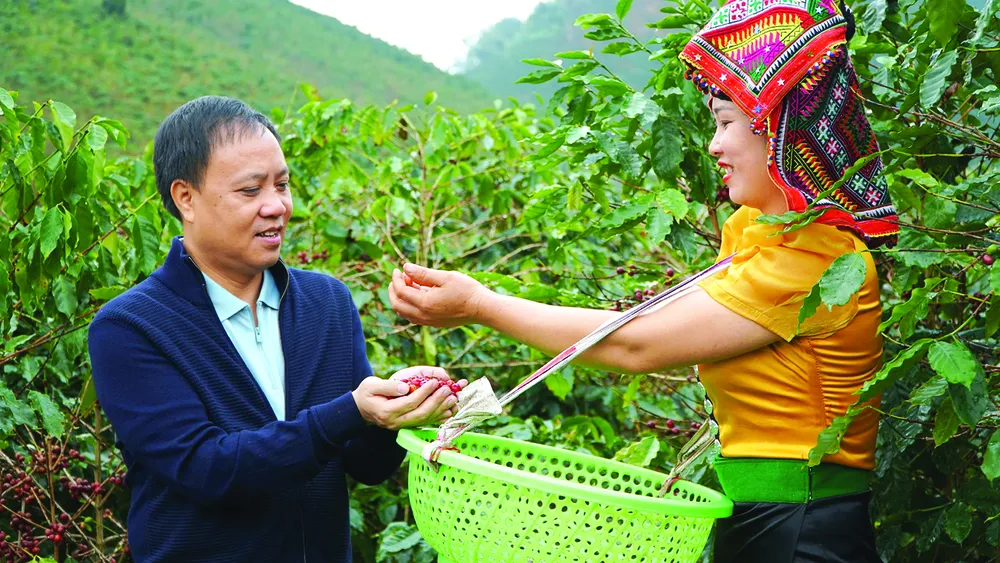 34 ca phe ben vung B.jpg