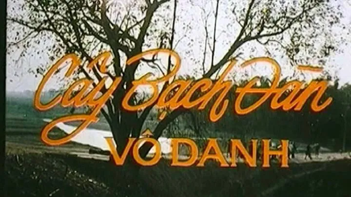 Chuyện hậu kỳ xúc động về phim "Cây bạch đàn vô danh"