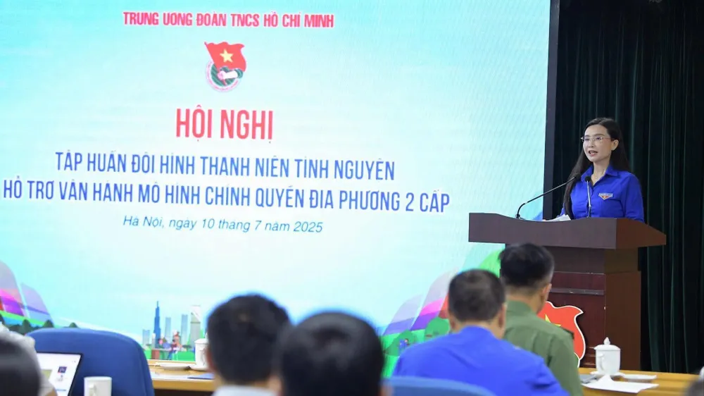 Tập huấn đội hình thanh niên tình nguyện hỗ trợ vận hành mô hình chính quyền địa phương hai cấp và cung cấp dịch vụ công trực tuyến tại cơ sở