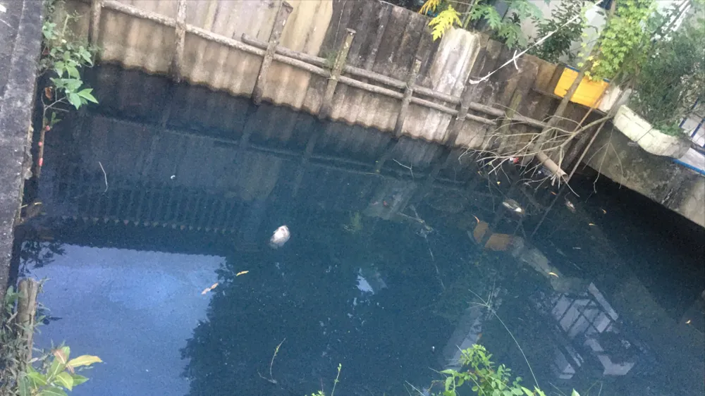 Nước trên kênh Mười Thế, xã Mỹ Yên, tỉnh Tây Ninh đen đặc, bốc mùi hôi thối ảnh hưởng đến đời sống người dân