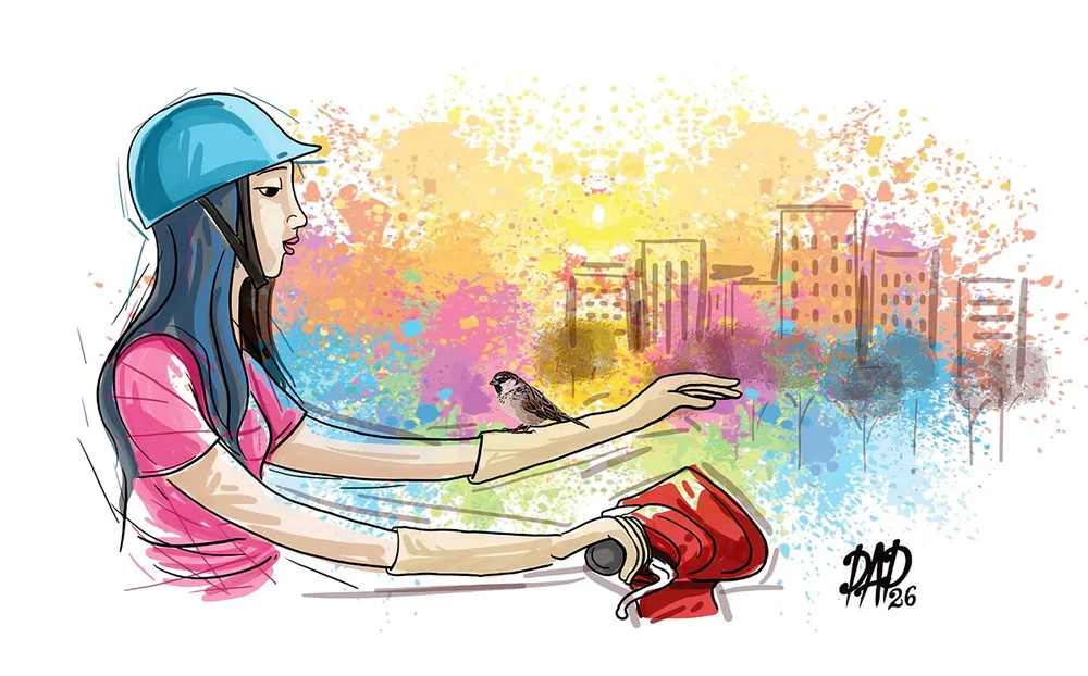 Chim sẻ buổi sớm