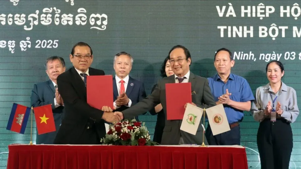 Liên đoàn sắn Campuchia ký kết hợp tác với Hiệp hội sản xuất tinh bột mì Tây Ninh, tháng 12-2025