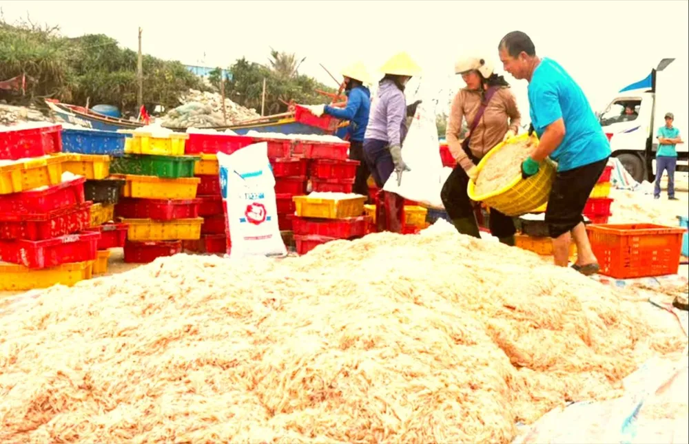 PSA Anh14-TRUNG TEP 33.jpg