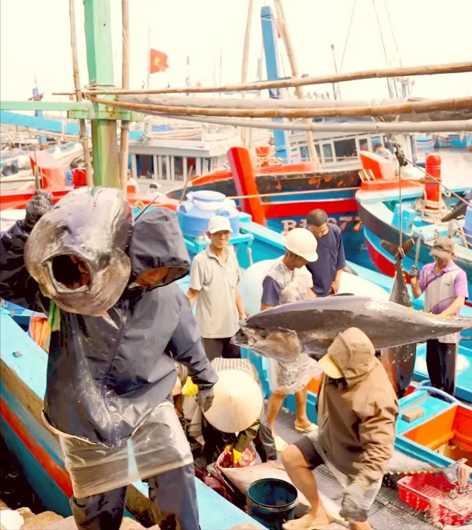 PSA Anh7-CÁ NGỪ (1).jpg