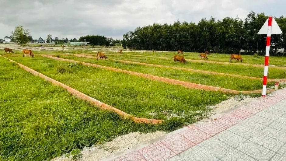  Một khu đất phân lô trên địa bàn phường Tân Thành, TPHCM. Ảnh: QUANG VŨ