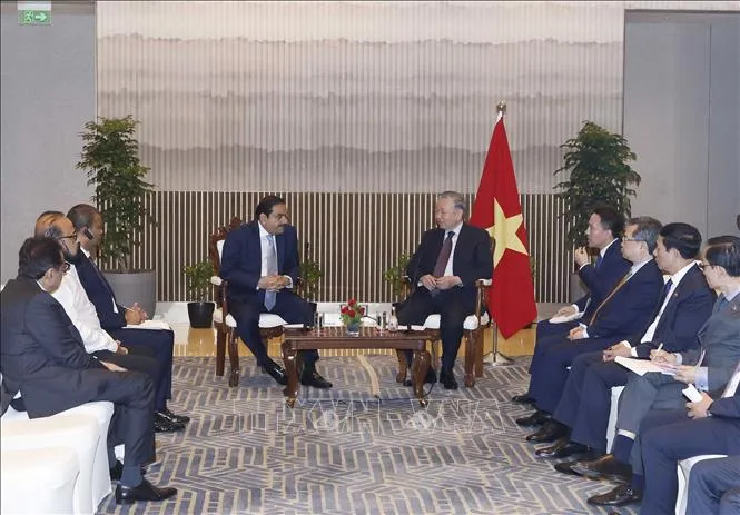 Tổng Bí thư, Chủ tịch nước Tô Lâm tiếp Chủ tịch Tập đoàn Adani Gautam Adani. Ảnh: TTXVN