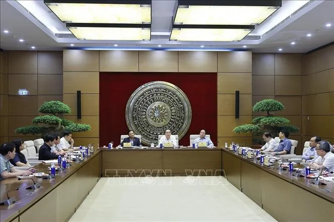 Chủ tịch Quốc hội Trần Thanh Mẫn, Trưởng ban Ban Chỉ đạo về tổng rà soát hệ thống văn bản quy phạm pháp luật phát biểu. Ảnh: TTXVN