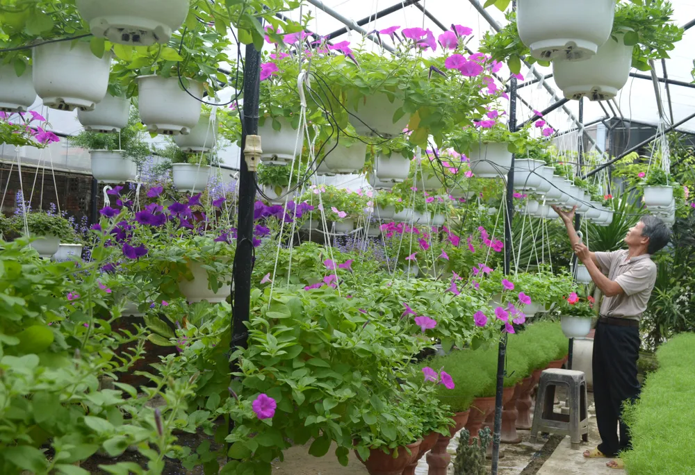 Làng nghề Quảng Nam rộn ràng đón tết ảnh 2