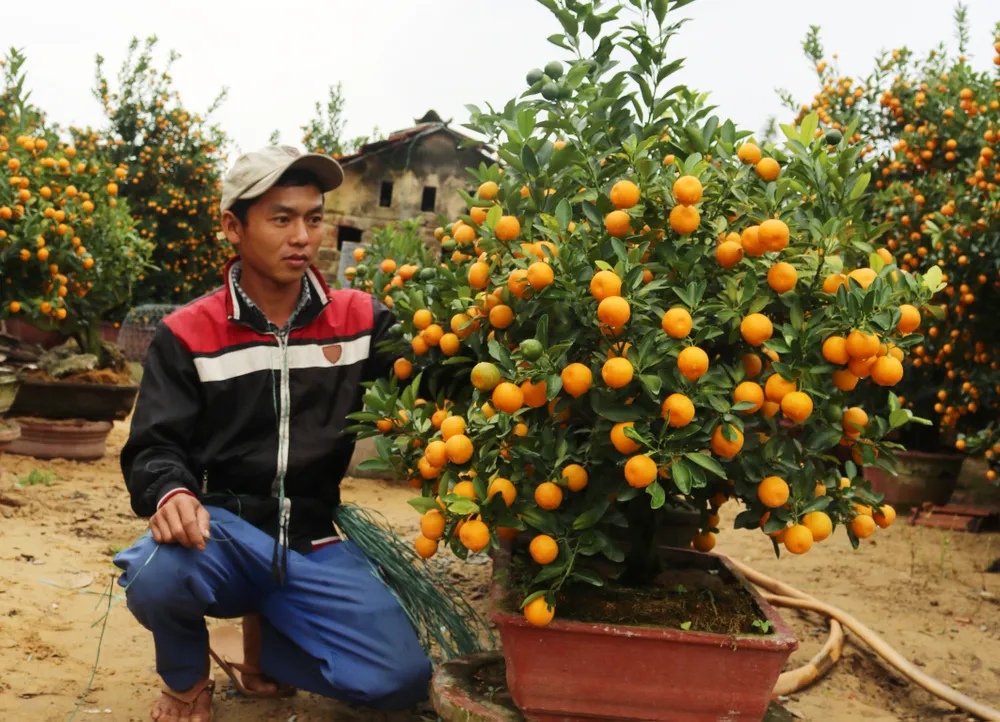 Làng nghề Quảng Nam rộn ràng đón tết ảnh 9