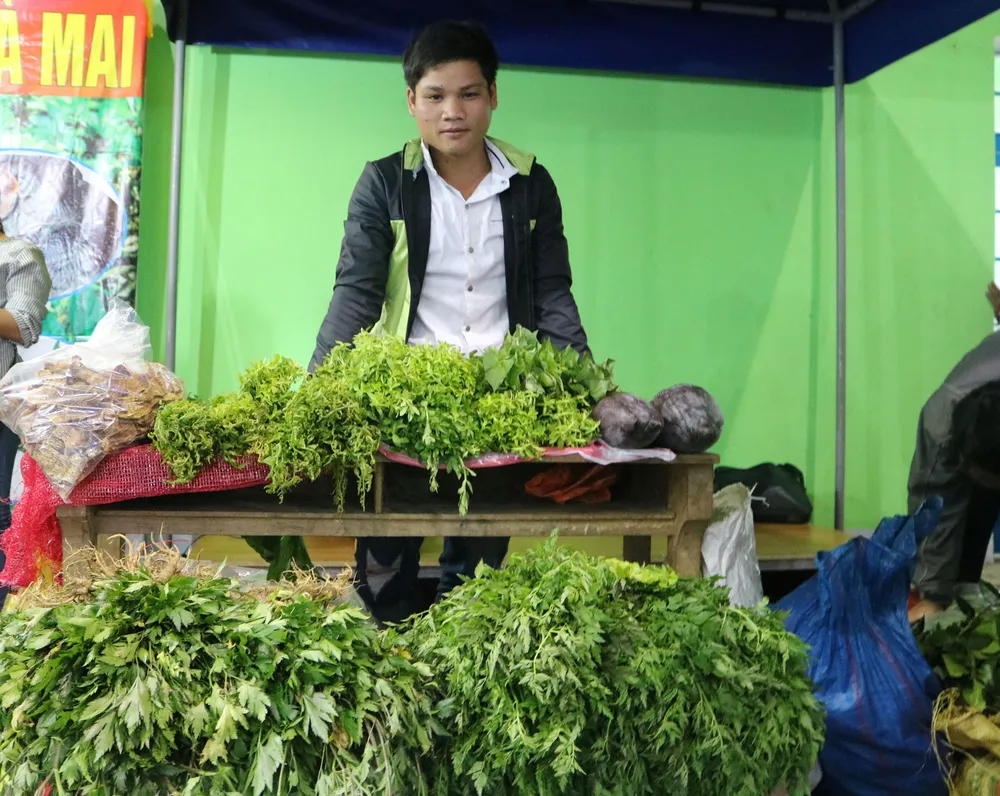 Phiên chợ sâm tiền tỷ ảnh 5