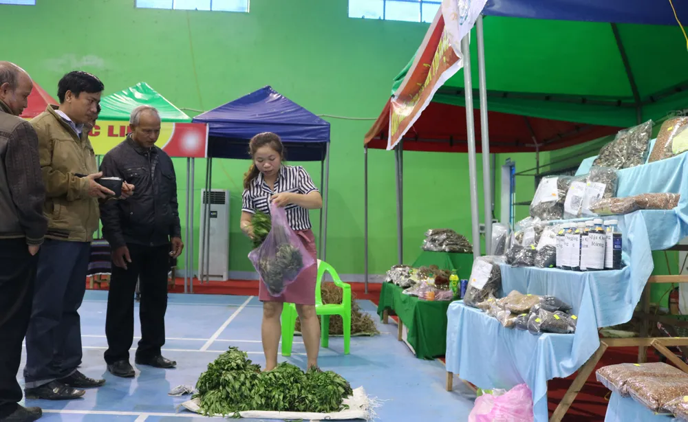 Phiên chợ sâm tiền tỷ ảnh 4