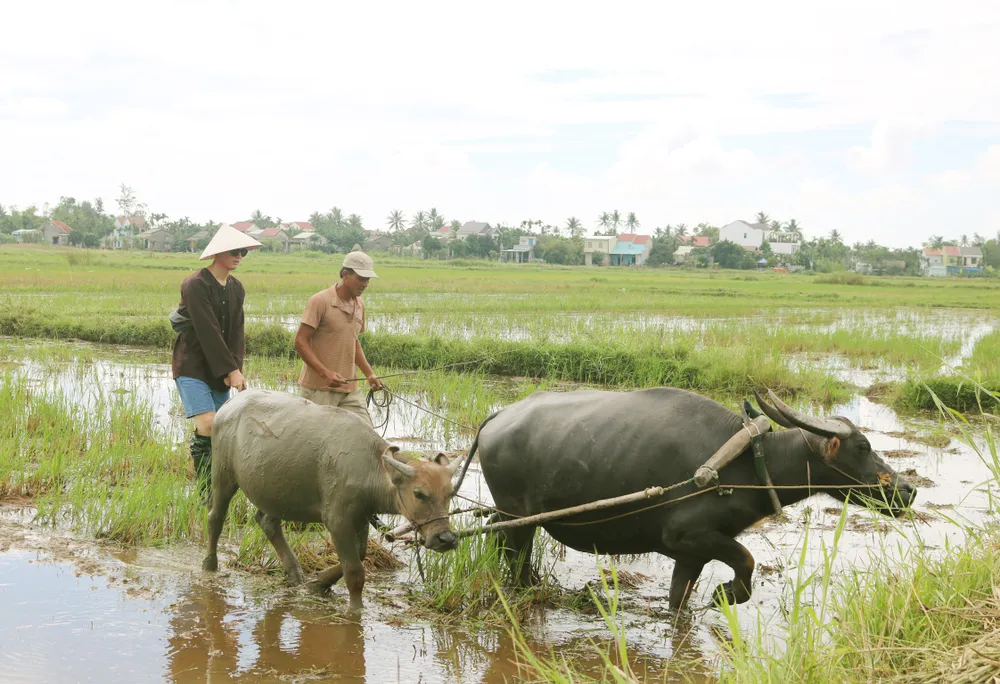 Phát triển du lịch sinh thái bền vững gắn với nông nghiệp nông thôn ảnh 2
