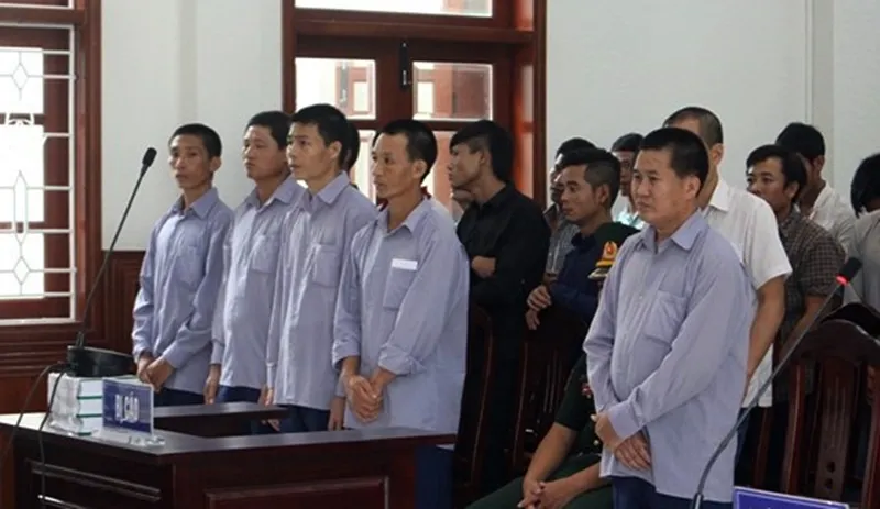 Phá rừng pơmu Quảng Nam, nguyên Đồn phó Đồn Biên phòng lãnh 4 năm tù giam  ảnh 3