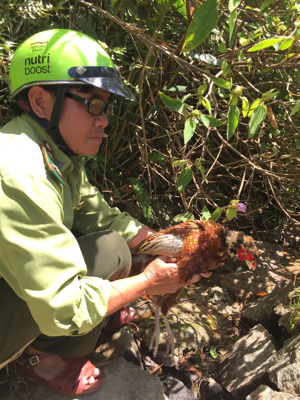 Thả 3 cá thể động vật quý hiếm về với tự nhiên  ảnh 2