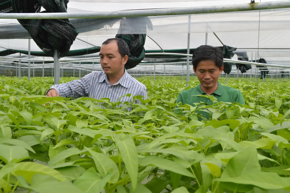 Thu hút đầu tư, phát triển nông nghiệp công nghệ cao và sản phẩm an toàn miền Trung - Tây Nguyên ảnh 3