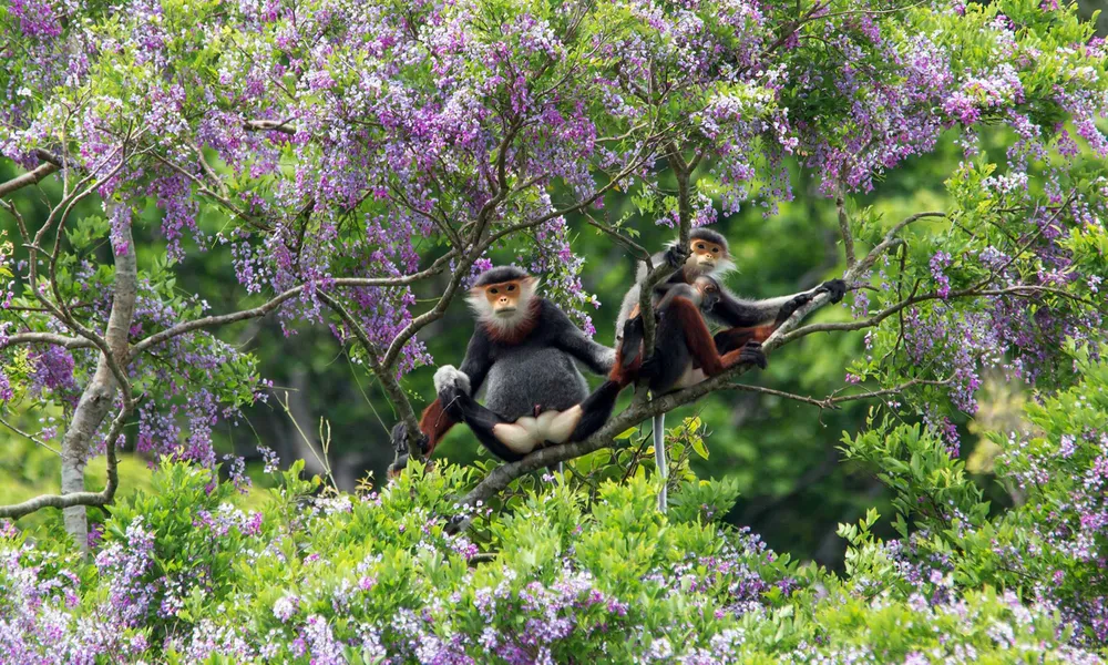 Gần 1.200 tác phẩm tham dự Cuộc thi ảnh đẹp du lịch “Tuyệt vời Đà Nẵng ơi” ảnh 2