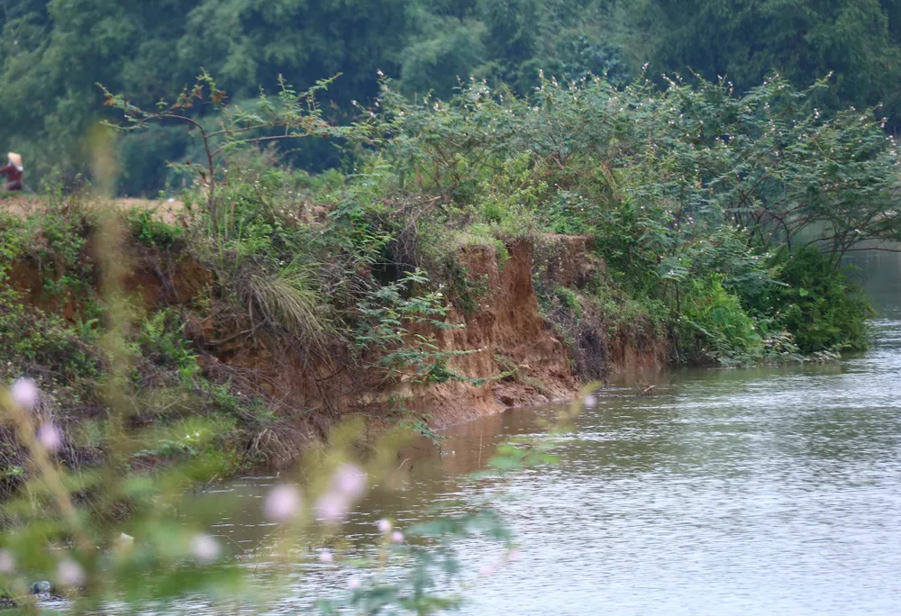 Gần 17.000 ngôi nhà ở Quảng Nam vẫn còn ngập trong nước ảnh 4