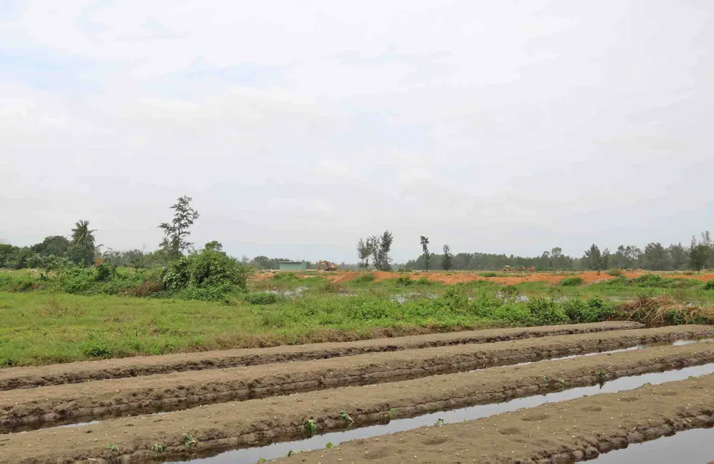 Hoa màu ngập úng vì… dự án lấp mương? ảnh 4