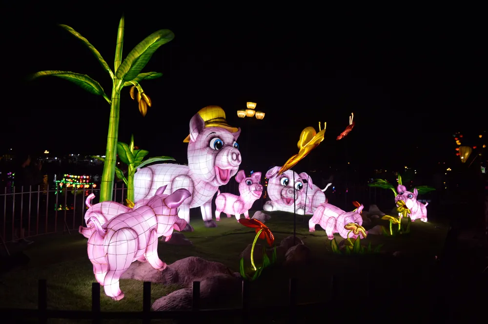 Lung linh phố cổ Hội An ảnh 4