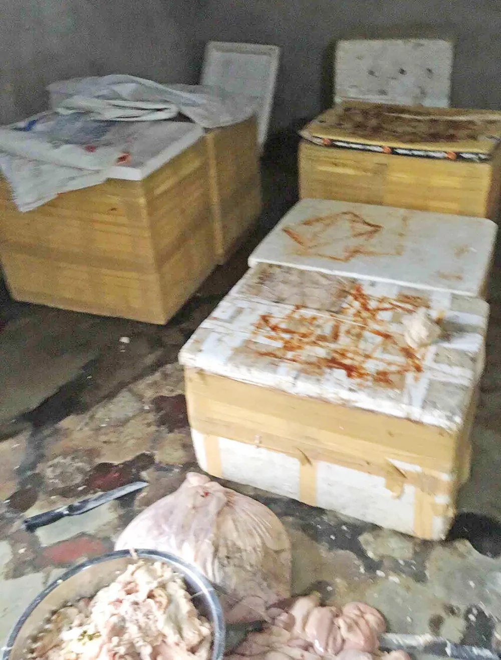 Phát hiện cơ sở chế biến nội tạng trái phép ảnh 1