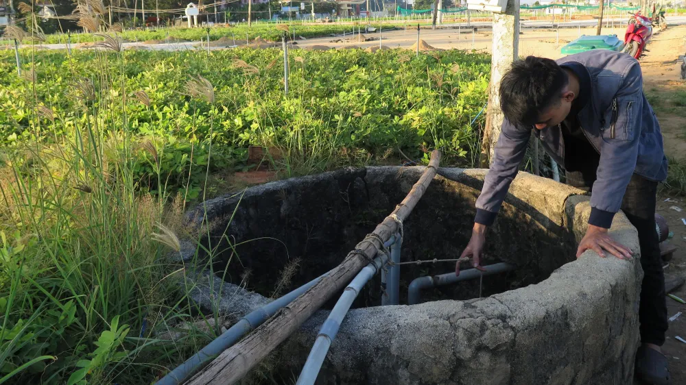 Bức bí nguồn nước trên đảo du lịch ảnh 3