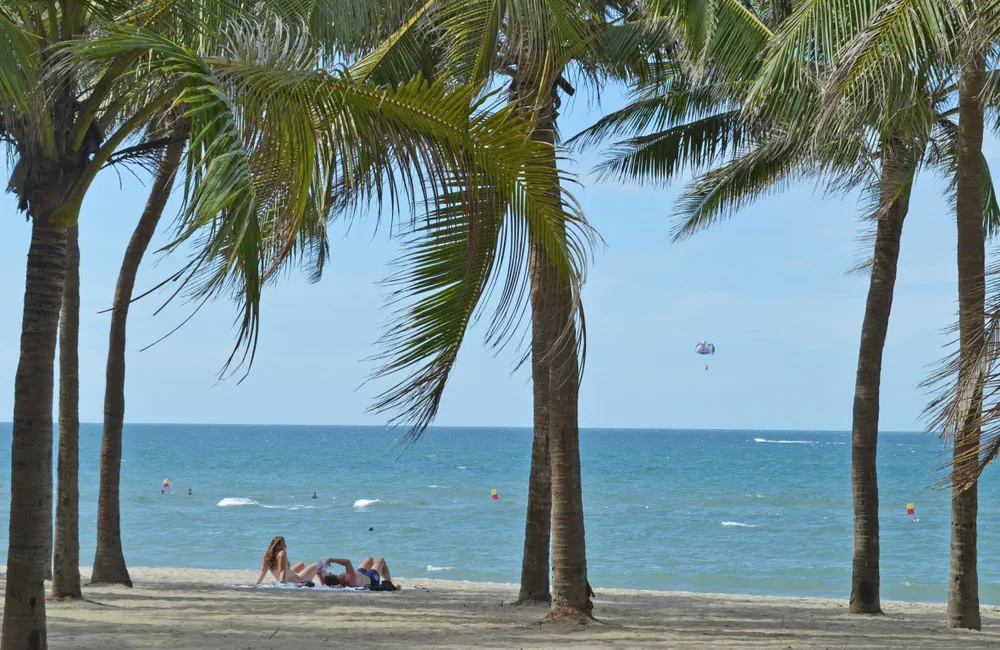 Đà Nẵng xây dựng kế hoạch đưa khách ra đảo Cù Lao Chàm ảnh 4