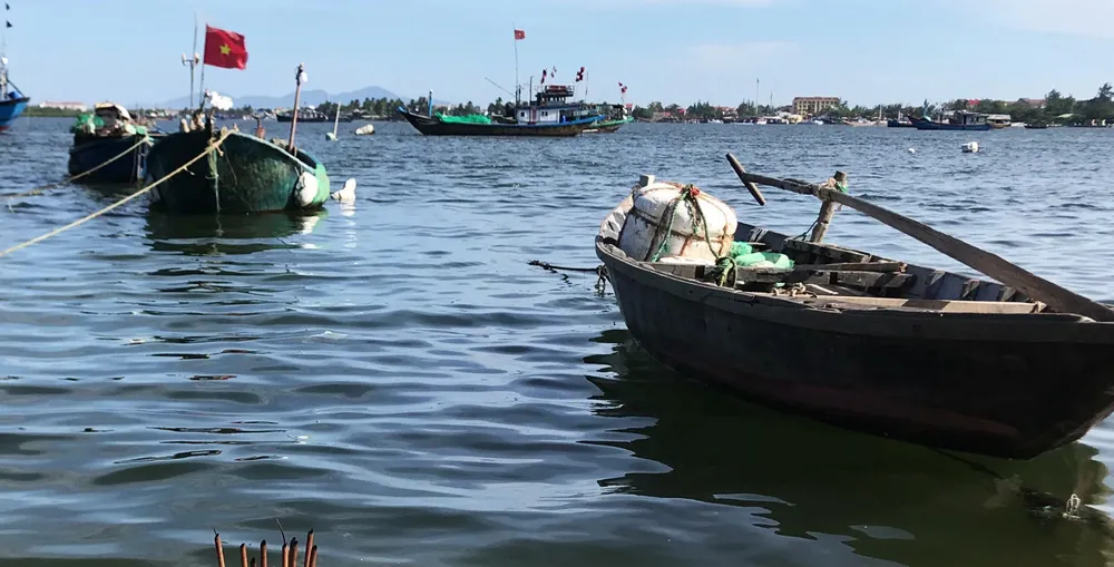 Hạ nguồn Thu Bồn sụt lún nghiêm trọng