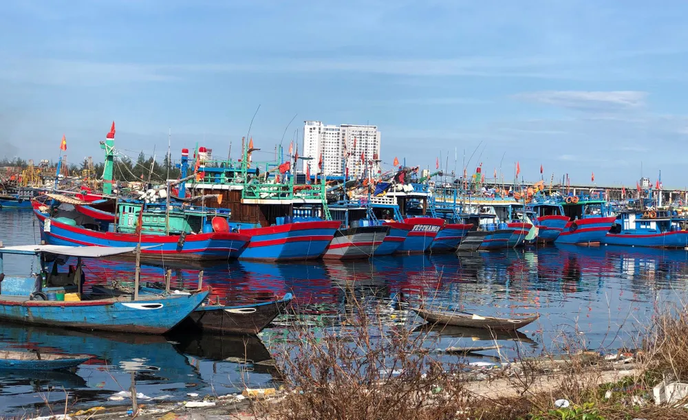 Ngăn chặn, chấm dứt tàu cá và ngư dân vi phạm vùng biển nước ngoài ảnh 3
