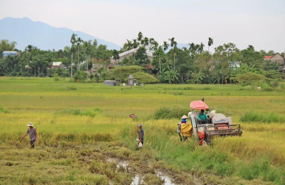 Duyên hải Nam Trung Bộ và Tây Nguyên vẫn đang là vùng trũng về xây dựng nông thôn mới ảnh 3