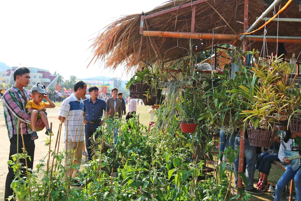 Đặc sắc Lễ Hội Cầu Huê ảnh 20