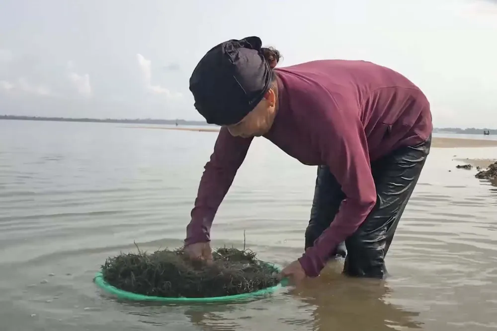 Mưu sinh giữa mùa dịch ảnh 6