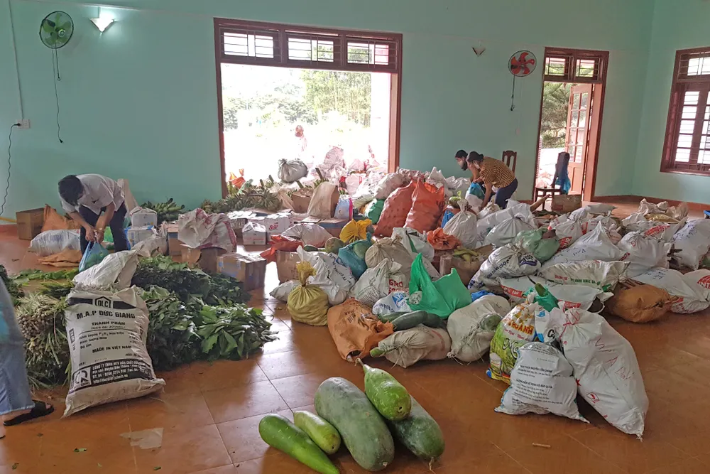 Quảng Nam lên phương án hỗ trợ 4 tháng học phí cho học sinh ảnh 3