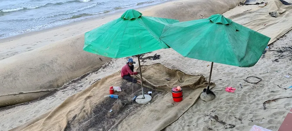 Quảng Nam: Khẩn trương gia cố kè Cửa Đại chạy bão ảnh 3