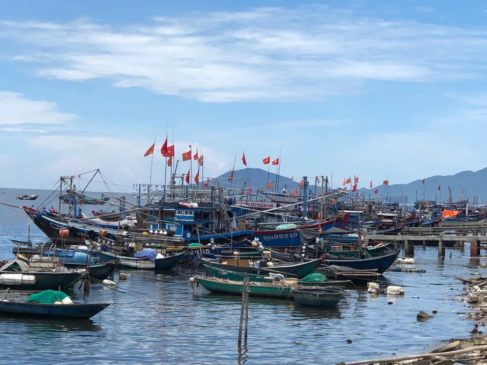 Quảng Nam: Khẩn trương gia cố kè Cửa Đại chạy bão ảnh 6